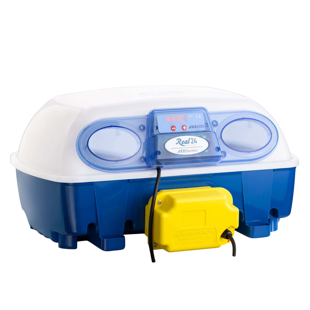Automatische