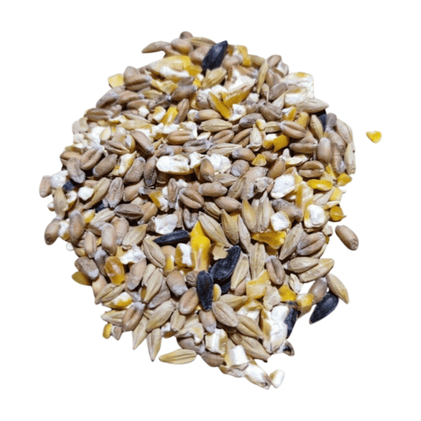 Hadivo Gemengd Graan 5 kg - Afbeelding 2
