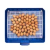 Borotto Lumia 56 Automatische broedmachine - Afbeelding 9