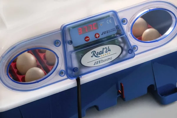 Borotto Real 24 Broedmachine Half automaat - Afbeelding 2