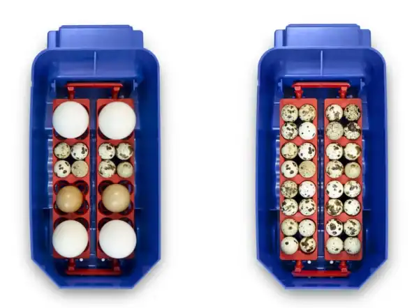 Borotto Lumia 8 Vol automatische broedmachine (Expert) - Afbeelding 4