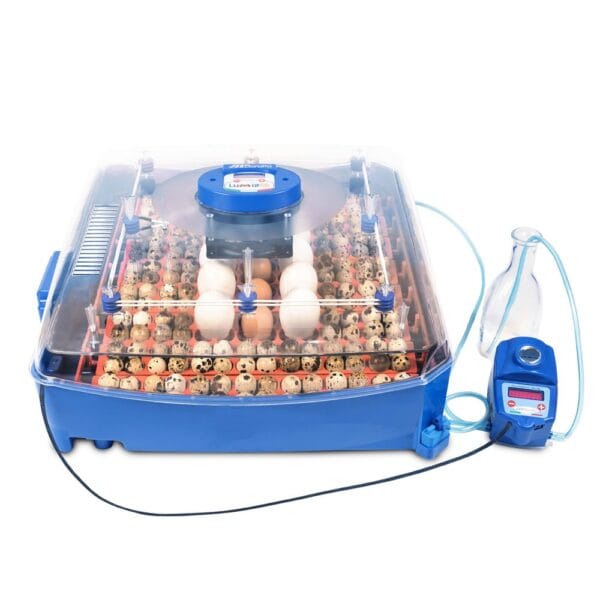 Borotto Lumia 56 Vol Automatische broedmachine (Expert)