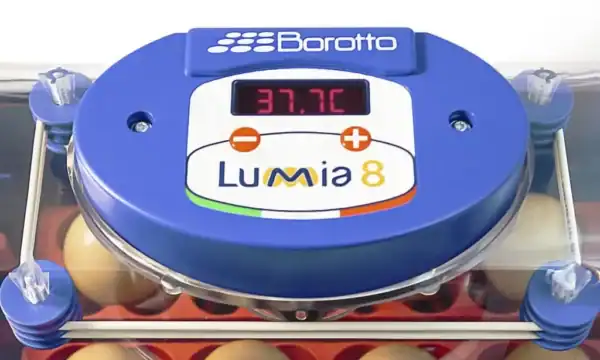 Borotto Lumia 8 Vol automatische broedmachine (Expert) - Afbeelding 5