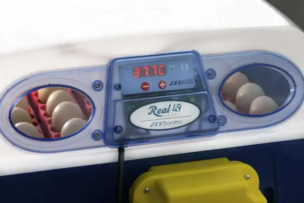 Borotto Real 49 Broedmachine Vol Automaat (Expert) - Afbeelding 9