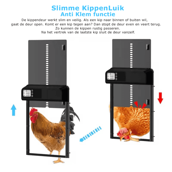 Metalen Chickenguard automatische kippendeur met timer - Afbeelding 2
