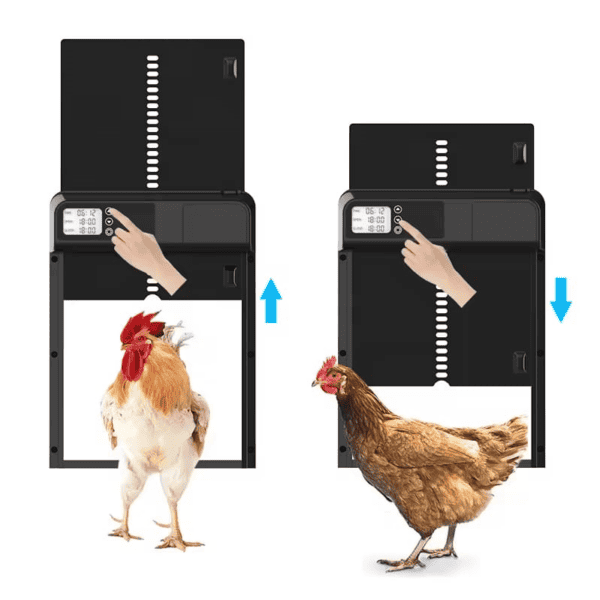 Metalen Chickenguard automatische kippendeur met timer - Afbeelding 3