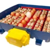 Borotto Real 49 automatische broedmachine - Afbeelding 2