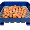 Borotto Real 49 automatische broedmachine - Afbeelding 5