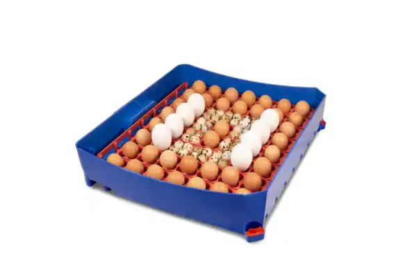 Borotto Lumia 56 Vol Automatische broedmachine (Expert) - Afbeelding 7