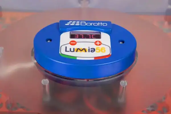 Borotto Lumia 56 Vol Automatische broedmachine (Expert) - Afbeelding 5