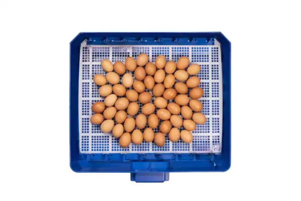 Borotto Lumia 56 Vol Automatische broedmachine (Expert) - Afbeelding 4