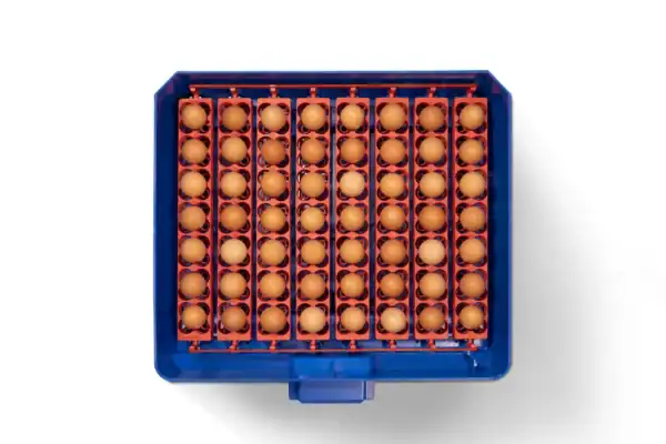 Borotto Lumia 56 Vol Automatische broedmachine (Expert) - Afbeelding 2