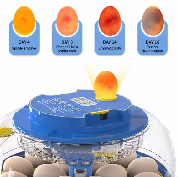 Wonegg 18H Automatische broedmachine - Afbeelding 4
